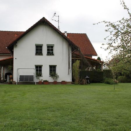 Krasny Apartman V Brane Luzickych Hor Cvikov Eksteriør billede