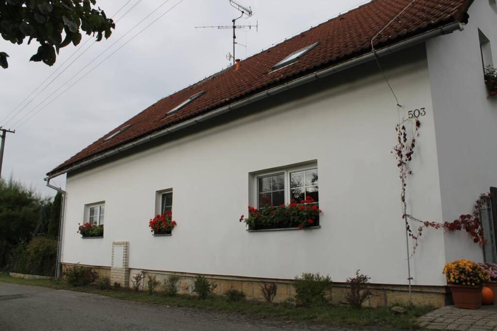 Krasny Apartman V Brane Luzickych Hor Cvikov Eksteriør billede