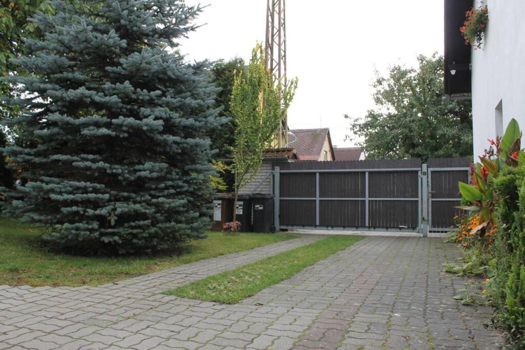 Krasny Apartman V Brane Luzickych Hor Cvikov Eksteriør billede