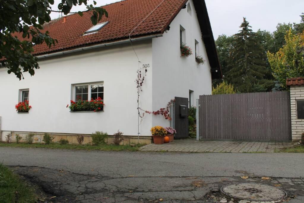 Krasny Apartman V Brane Luzickych Hor Cvikov Eksteriør billede