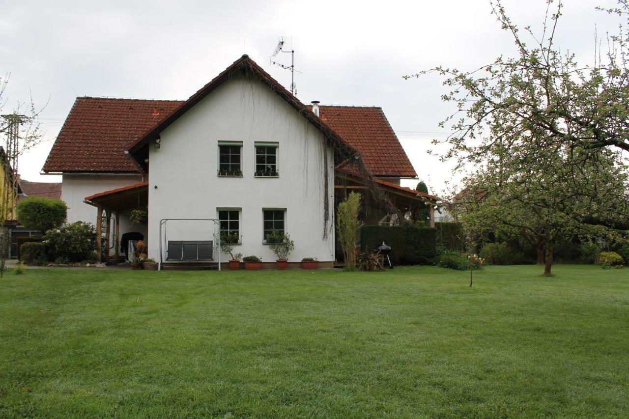 Krasny Apartman V Brane Luzickych Hor Cvikov Eksteriør billede